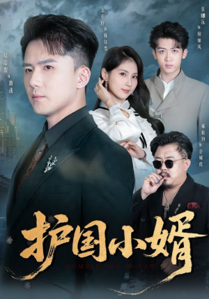 护国小婿（60集）哪个短剧网能看