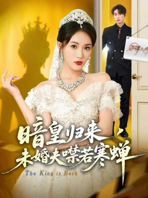 暗皇归来，未婚夫噤若寒蝉（65集）剧情简介