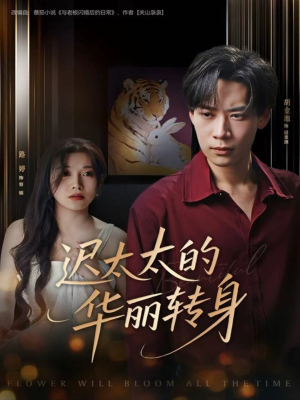 迟太太的华丽转身（80集）短剧精彩不断