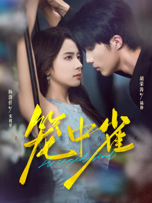 笼中雀（65集）全集都在这里了