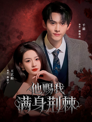 他赐我满身荆棘（80集）高清无码免费看