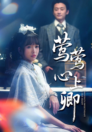 莺莺心上卿（60集）短剧抢先看全集