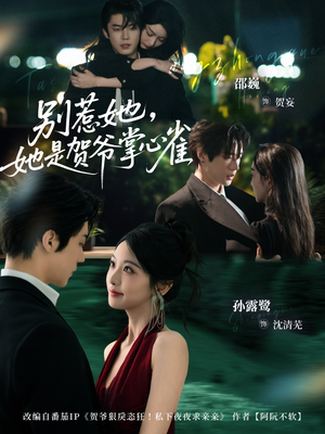 别惹她，她是贺爷掌心雀（69集）热播短剧推荐