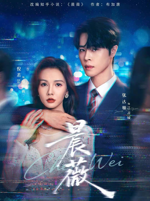 晨薇（61集）全集下载