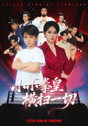 小小拳皇横扫一切（60集）高质量短剧推荐