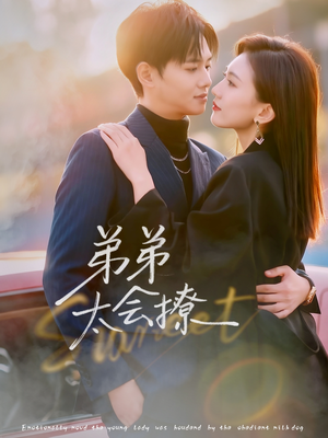 弟弟太会撩（81集）热门短剧免费看