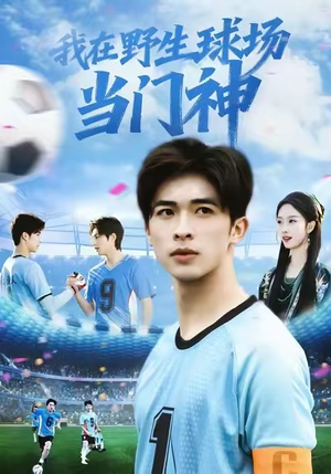 我在野生球场当门神（31集）在线看