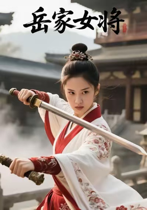 岳家女将（20集）短剧片段推荐