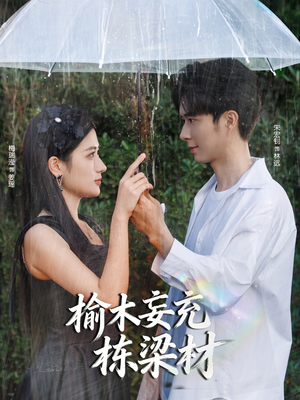 榆木妄充栋梁材（88集）免费观看全集