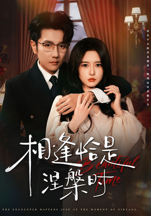 相逢恰是涅槃时（63集）短剧在哪个平台