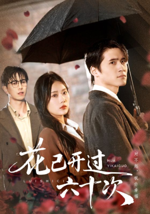 情敌交手她选择躺赢（72集）全集一次看完