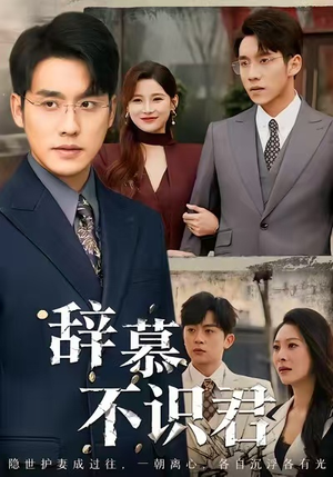 七年情深终成侮（77集）分享好看短剧