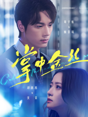 长姐她竟是隐藏大佬（60集）红果短剧免费看