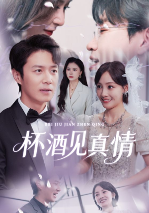 杯酒见真情（68集）口碑之选免费看