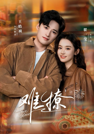 难撩（100集）短剧太好看了吧