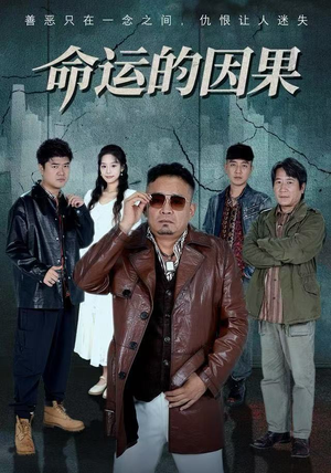 命运的因果（60集）热门短剧分享