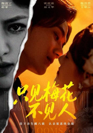 只见梅花不见人（63集）演员表