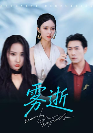 雾逝（30集）免费在线看全集