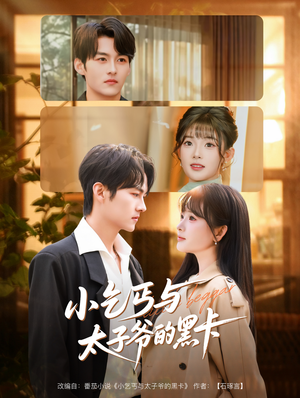 小乞丐与太子爷的黑卡（60集）热门短剧抢先看