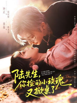 陆先生，你捡的小玫瑰又掀桌了（74集）最新上映的短剧