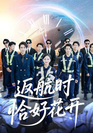 返航时恰好花开（101集）热门了短剧