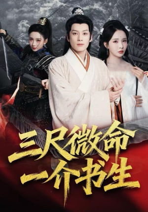 三尺微命一介书生(70集) 三尺微命一介书生(70集)热门短剧排行榜