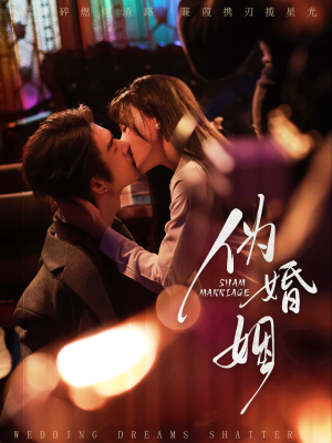 伪婚姻（75集）全季一次看完
