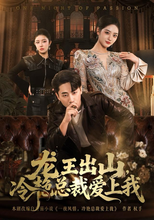 龙王出山，冷艳总裁爱上我（80集）全集下载