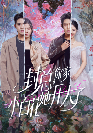 封总，你家小白花她开大了（60集）评价怎么样