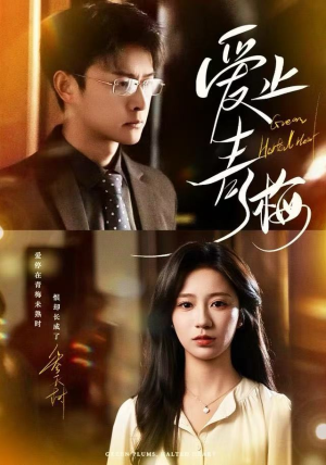 爱止青梅（60集）太好看了短剧