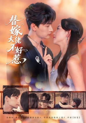 替嫁大佬不好惹（83集）第一季