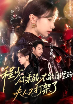 程少你柔弱不能自理的夫人又打架了（60集）评价怎么样