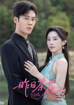 昨日茶花（56集）全集免费