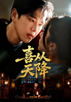 喜从天降(50集) 喜从天降(50集)一口气看完全集