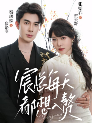 宸总每天都想入赘（65集）免费短剧资源