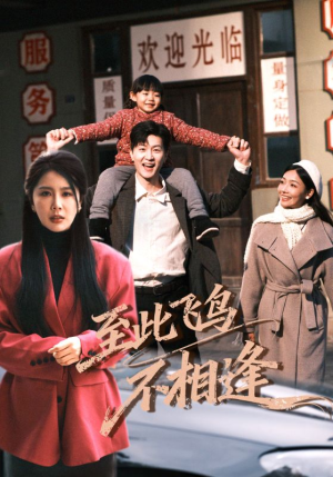 至此飞鸟不相逢(70集) 至此飞鸟不相逢(70集)第一集