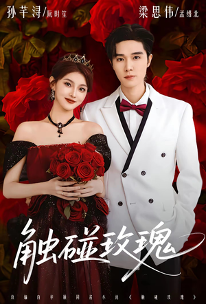 触碰玫瑰（80集）好看的短剧分享