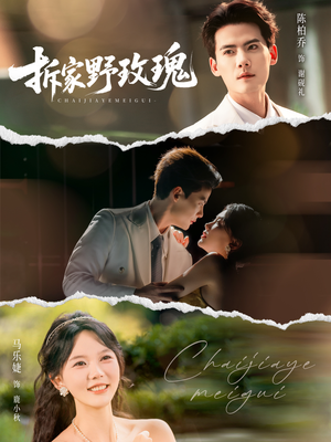 拆家野玫瑰（80集）看到了大结局