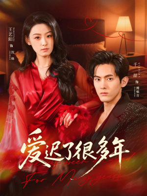 爱迟了很多年（73集）热门短剧看不停