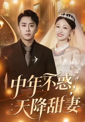 中年不惑，天降甜妻（60集）独家内容免费看