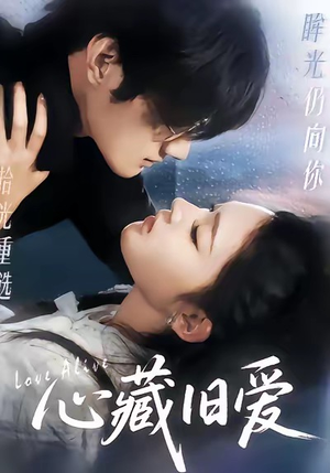 心藏旧爱（73集）短剧视频分享