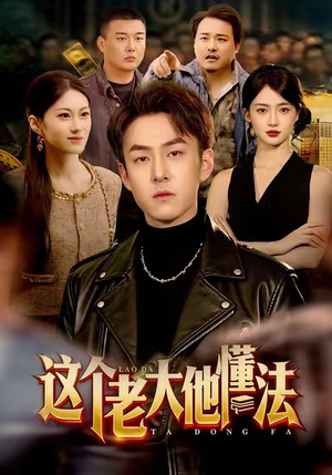 这个老大他懂法（100集）女主谁演的