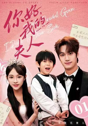 顾总，我才是你的夫人（65集）观看软件