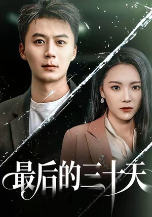 最后的三十天（52集）解说