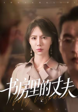 书房里的丈夫(100集) 书房里的丈夫(100集)全集免费