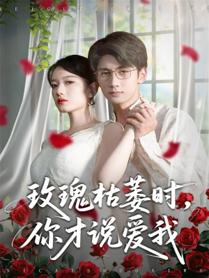 玫瑰枯萎时你才说爱我（100集）深深爱上这部剧
