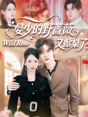 晏少的野蔷薇又掀桌了（120集）网盘在线观看