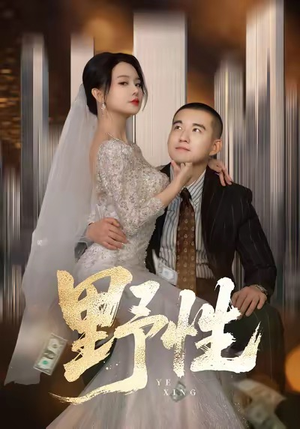 分手后，顶头上司要嫁我（70集）爱上了这部剧了