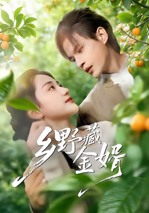 乡野藏金婿（50集）怎么看全集