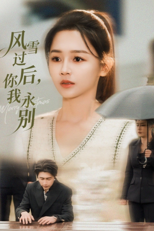 风雪过后你我永别（51集）演的怎么样